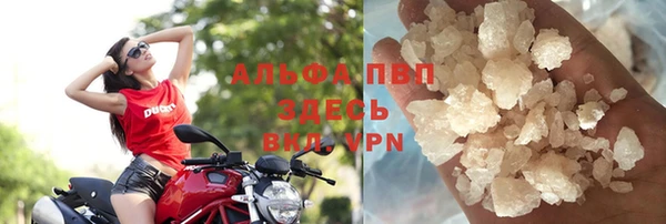 шишки Магадан