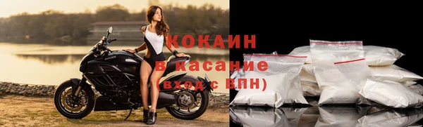 шишки Магадан