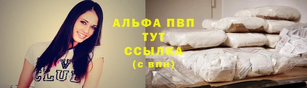 шишки Магадан