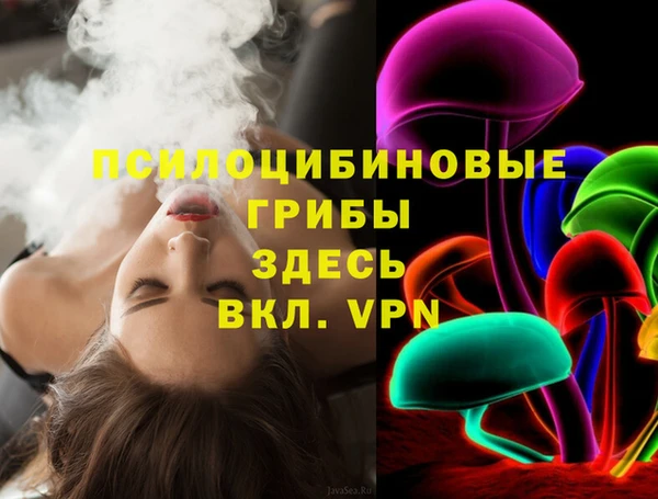 шишки Магадан