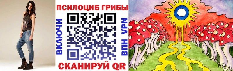 Купить закладки  Касли  Галлюциногенные грибы Magic Shrooms 
